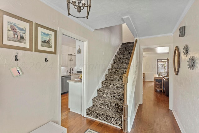 stairs with hardwood / wood-style floors, sink, and crown molding