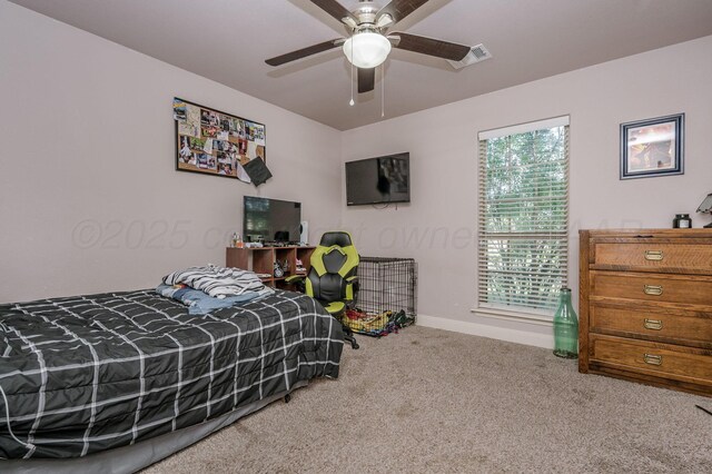 7307 Providence Dr, Amarillo, TX 79118 - photo 13