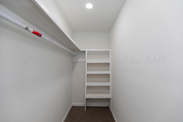walk in closet featuring carpet flooring