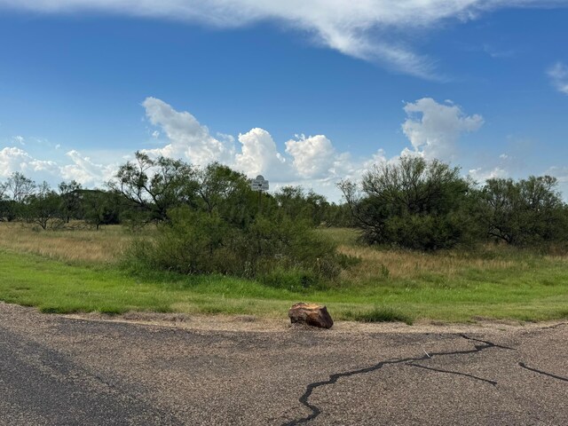 212 Sandy Trl, Canyon, TX 79015 - photo 6
