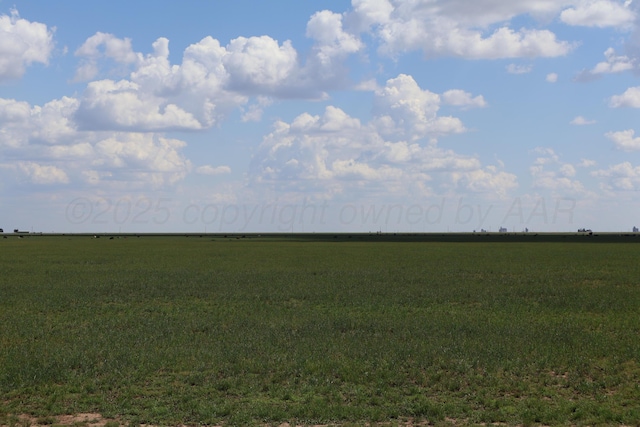 Fm 2397, Dimmitt, TX 79027 - photo 5