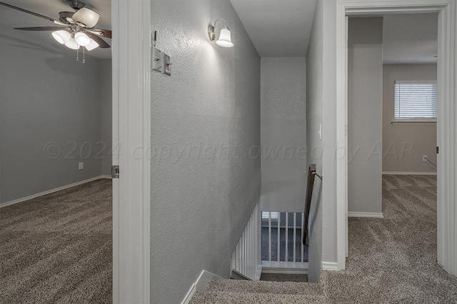 staircase with carpet flooring and ceiling fan