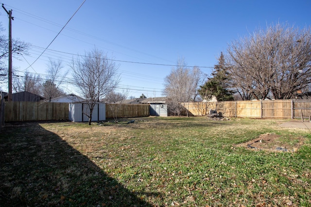 view of yard featuring a storage unit