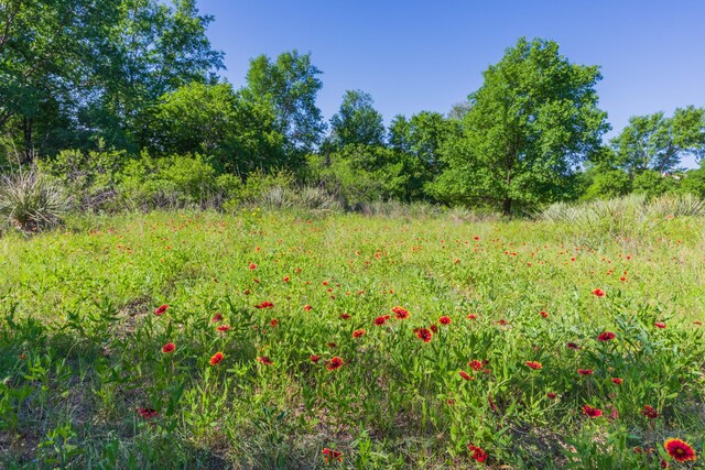 233 Doucette Dr, Howardwick, TX 79226 - view of undeveloped land