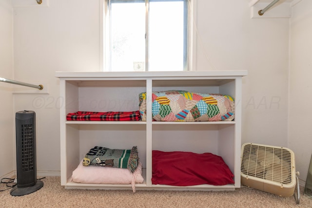 233 Doucette Dr, Howardwick, TX 79226 - spacious closet with carpet floors
