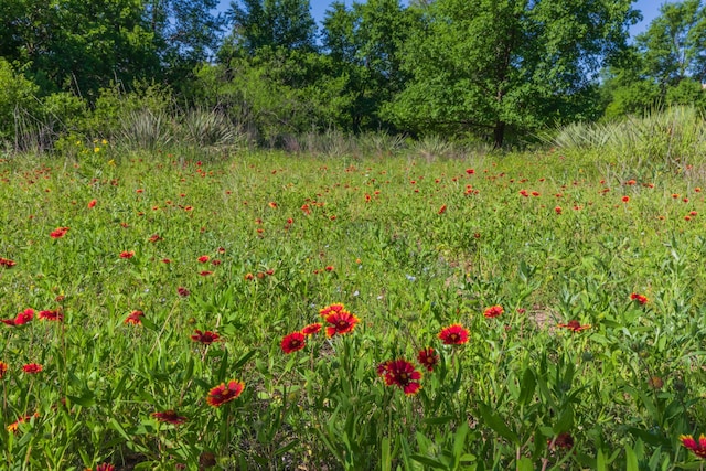 233 Doucette Dr, Howardwick, TX 79226 - view of undeveloped land