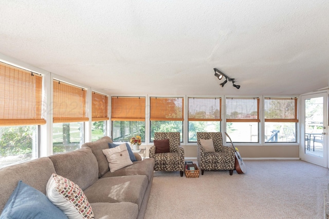233 Doucette Dr, Howardwick, TX 79226 - sunroom / solarium with track lighting