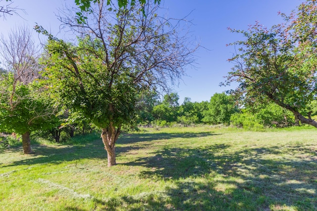 233 Doucette Dr, Howardwick, TX 79226 - view of green lawn