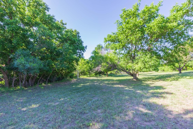 233 Doucette Dr, Howardwick, TX 79226 - view of green lawn