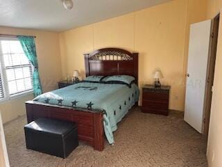 bedroom with carpet flooring