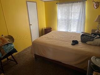 bedroom featuring multiple windows