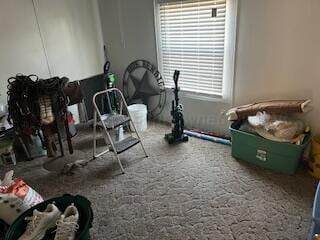 miscellaneous room with carpet