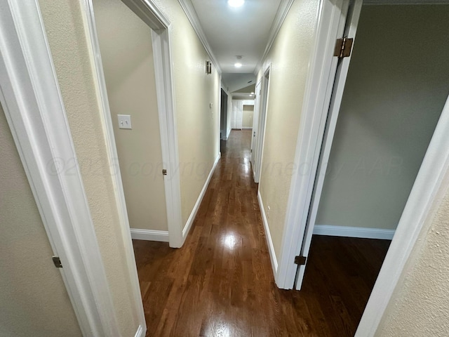 107 Galahad St, Borger, TX 79007 - hall with wood finished floors, baseboards, and ornamental molding