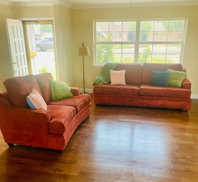 107 Galahad St, Borger, TX 79007 - living room with crown molding, wood finished floors, and baseboards