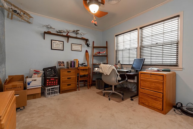 carpeted office space with crown molding and ceiling fan