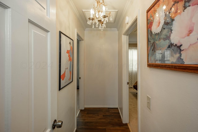 hallway featuring crown molding, dark wood-type flooring, and a notable chandelier