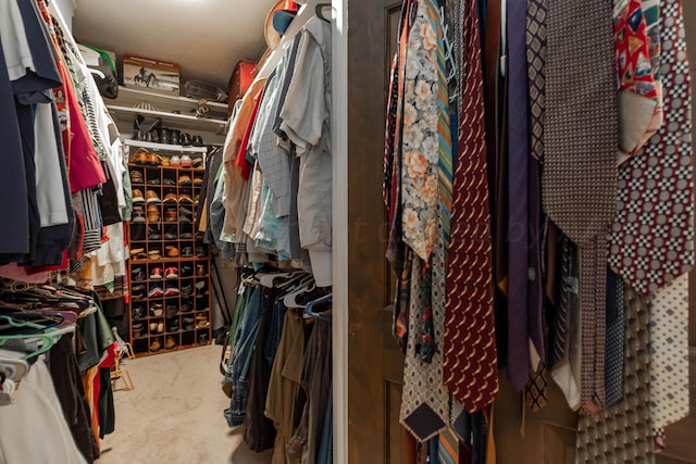 view of walk in closet