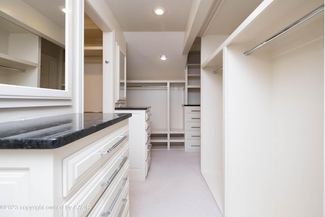 2802 S Hughes St, Amarillo, TX 79109 - spacious closet featuring light carpet