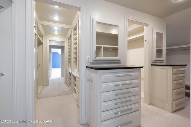 2802 S Hughes St, Amarillo, TX 79109 - view of walk in closet