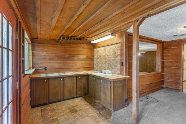 bar featuring butcher block countertops, a healthy amount of sunlight, and wood walls