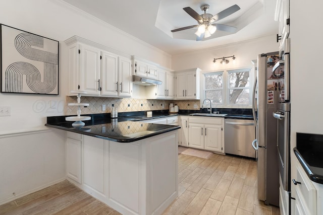 kitchen with a raised ceiling, appliances with stainless steel finishes, white cabinets, a sink, and a peninsula