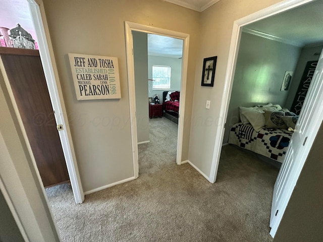 219 Inverness St, Borger, TX 79007 - hall with ornamental molding, carpet flooring, and baseboards