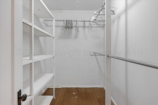 walk in closet with wood finished floors