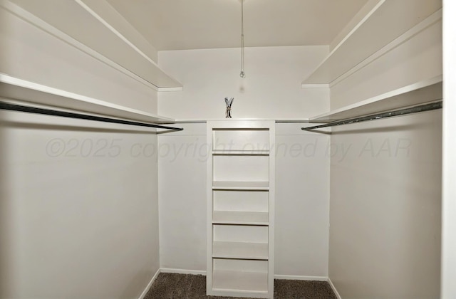 spacious closet with dark colored carpet