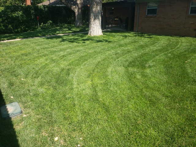 view of green lawn