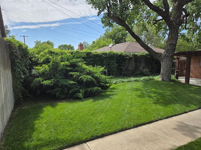view of yard