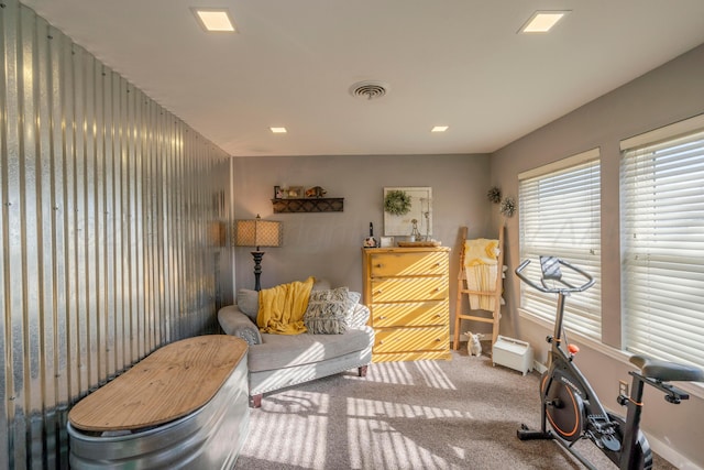 workout room with carpet floors