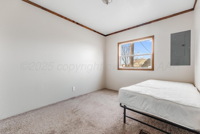 bedroom featuring carpet and electric panel