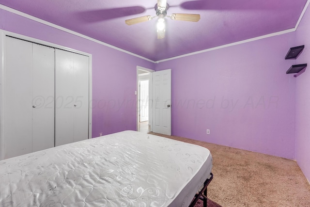 carpeted bedroom with ceiling fan, a closet, and crown molding