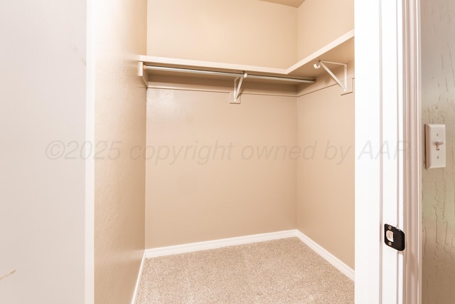 30 Country Club Dr, Farwell, TX 79325 - walk in closet with carpet flooring