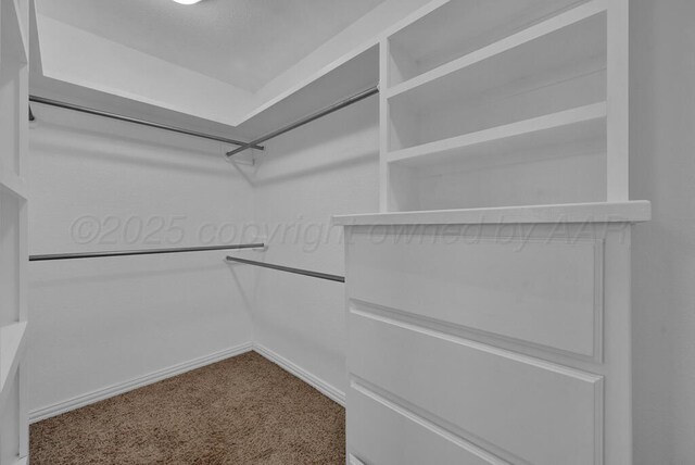 1800 Berkley Ct, Amarillo, TX 79118 - walk in closet featuring carpet