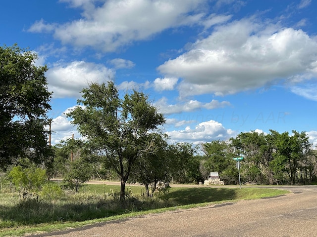 Listing photo 2 for 0 Lakeview Dr, Fritch TX 79036