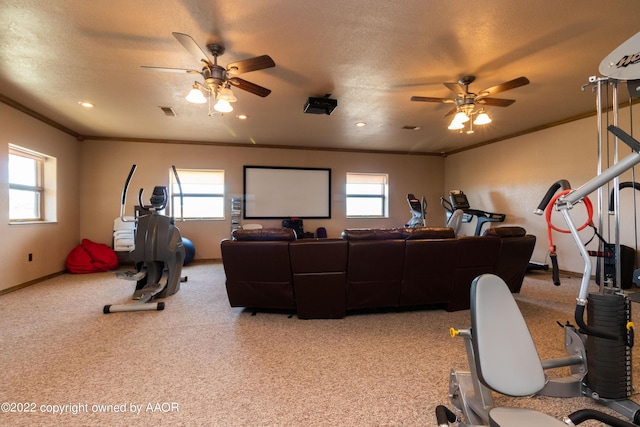 exercise area featuring crown molding, carpet, and a wealth of natural light