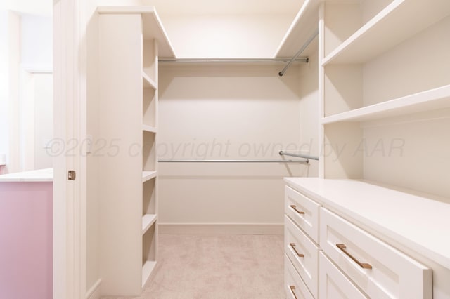 8303 City View Dr, Amarillo, TX 79118 - walk in closet featuring light colored carpet