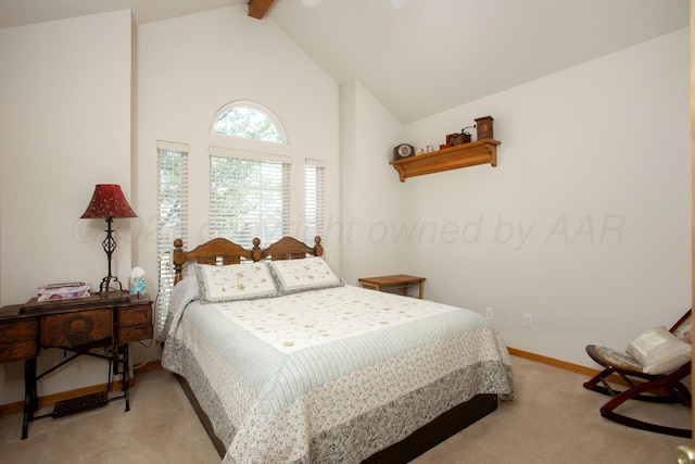 1411 Allison Ln, Amarillo, TX 79118 - photo 18