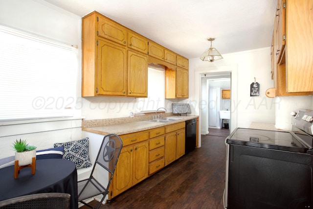 kitchen with dark hardwood / wood-style floors, decorative light fixtures, black dishwasher, sink, and stainless steel electric range