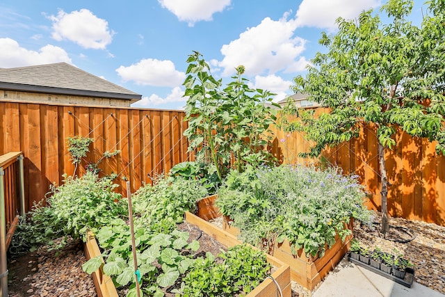 6201 Bay Rdg, Amarillo, TX 79119 - fenced backyard featuring a garden