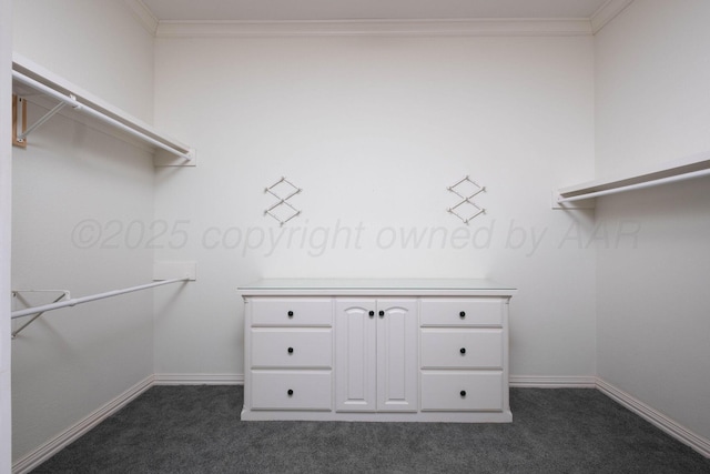 121 Quail Blvd, Amarillo, TX 79124 - spacious closet with dark carpet