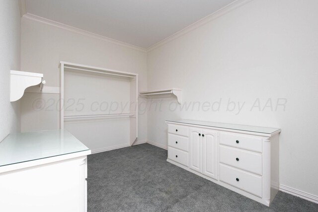 121 Quail Blvd, Amarillo, TX 79124 - walk in closet with dark carpet