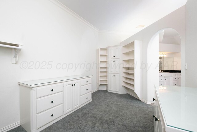 121 Quail Blvd, Amarillo, TX 79124 - walk in closet with dark carpet and arched walkways