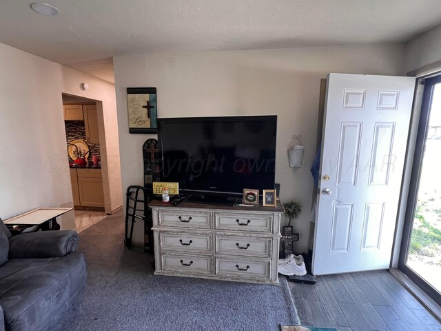 434 Long St, Hereford, TX 79045 - living area featuring a textured ceiling and dark wood finished floors