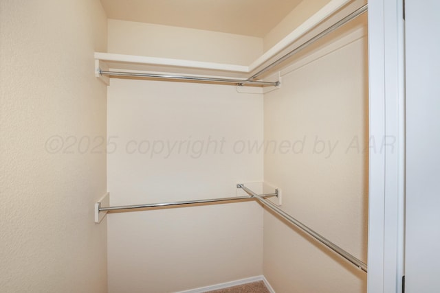 8403 Irvington Ct, Amarillo, TX 79119 - view of spacious closet
