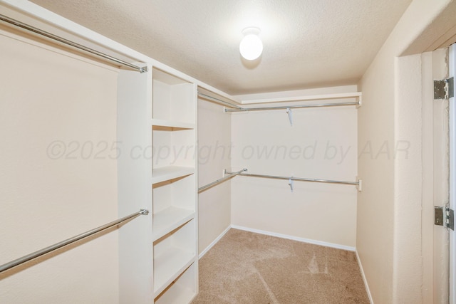 8403 Irvington Ct, Amarillo, TX 79119 - spacious closet with light colored carpet