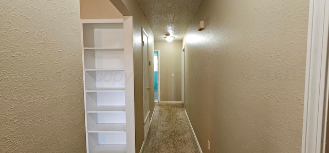 1601 E 8th St, Dalhart, TX 79022 - photo 10