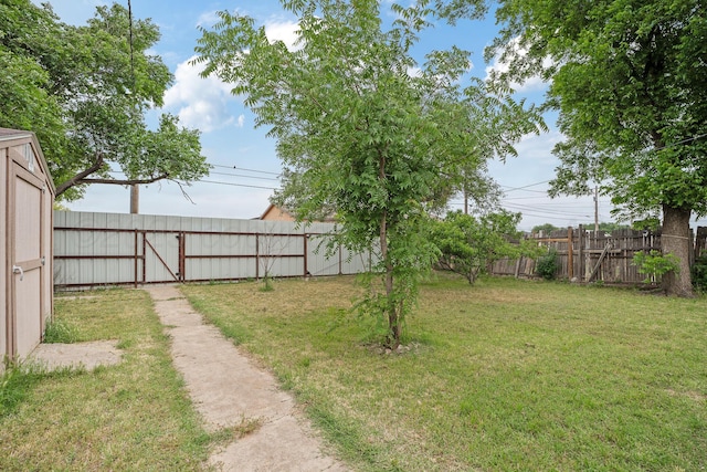3515 NE 19th Ave, Amarillo, TX 79107 - view of yard