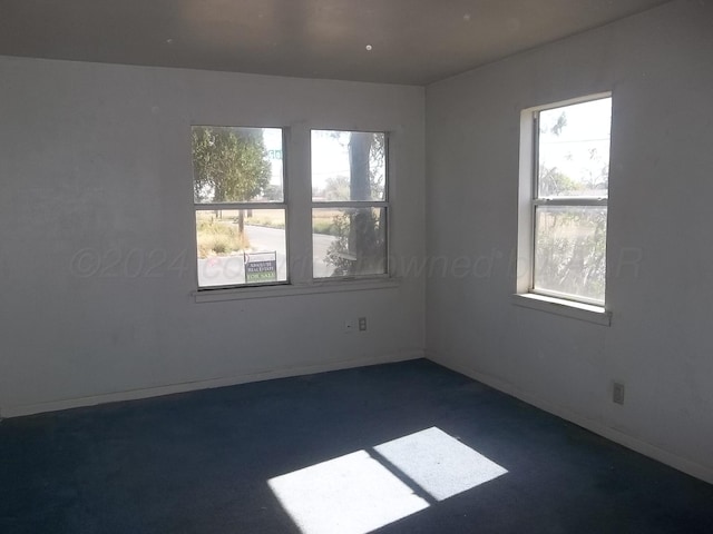 carpeted spare room with a wealth of natural light